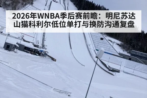 2026年WNBA季后赛前瞻：明尼苏达山猫科利尔低位单打与换防沟通复盘