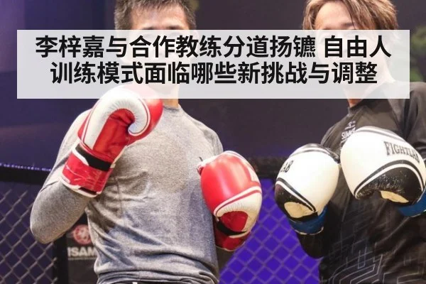 李梓嘉与合作教练分道扬镳 自由人训练模式面临哪些新挑战与调整