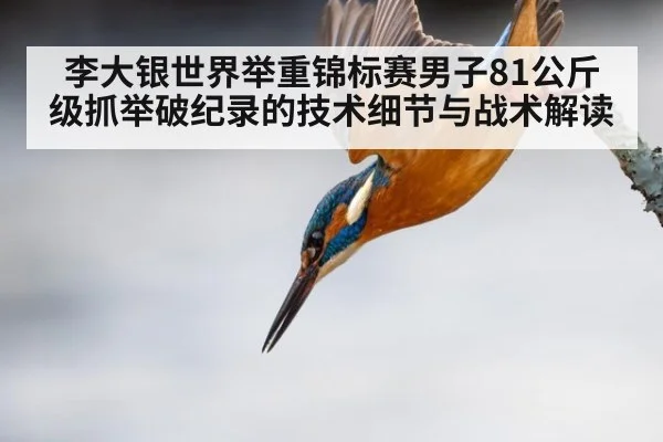 李大银世界举重锦标赛男子81公斤级抓举破纪录的技术细节与战术解读